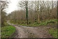 Track junction, Hooke Park