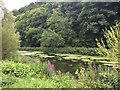 Lake at Ruskin Mill