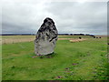 SU1242 : The Heel Stone at Stonehenge by PAUL FARMER
