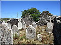 W9463 : Graves within the ruins of Ballintemple church by Jonathan Thacker