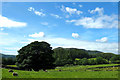 Fields near Lanthwaite Green Farm