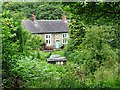 Cottages off Green Lane