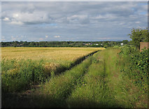 TL4747 : Field by Duxford Road by Hugh Venables