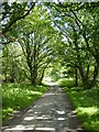 Road to Viewley Farm