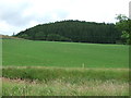 Grassland towards Cockburn Dean