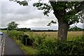 Farmland east of Knockentiber