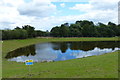 New pond next to the Lubbesthorpe Bridle Road