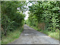 Track to Scaldhurst Farm