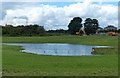 New pond at New Lubbesthorpe