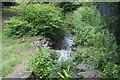 Spillway from lake in Tredegar House Country Park