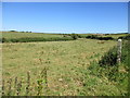 W9463 : Rough grassland near Churchtown South by Jonathan Thacker