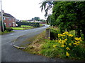 Circular Road, Mullaghmore