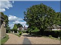 St Philip, Burwash Weald: churchyard (d)