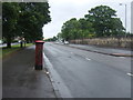 London Road, Braidfauld