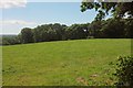 Field on Storridge Moor