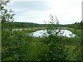 Settling ponds, Shipley Common