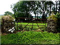 Stone pillars and rusty gate, Findrum