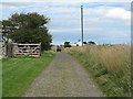 Crooked Loaning, Holy Island