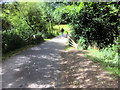 Hollingworth Lake Country Park