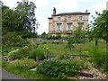 Historic beds in Glasgow Botanic Garden