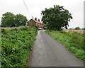 Hemley: cottages on Church Lane