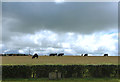 Farmland near Hoodston