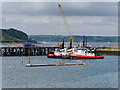 SW8132 : Tugboats at Falmouth Harbour by David Dixon