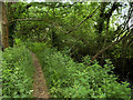SU4618 : The Itchen Way near Bishopstoke by David Dixon