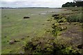 Stour Mudflats