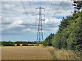 Power line over a barley field