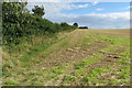 Hedge along an empty field