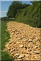 Stony track near Wood Dairy Farm