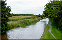 SJ6050 : Llangollen Canal west of Ravensmoor in Cheshire by Roger  D Kidd