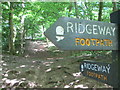 Ridgeway signposts, Aldbury Nowers