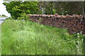 Dry stone wall beside Salkeld Road