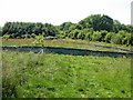 Reptile/amphibian exclusion fence in Marline Valley