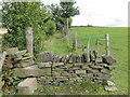 Field path about to cross a wall stile and become an enclosed path near Lepton