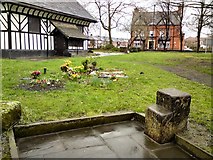 SJ9295 : St Lawrence's churchyard by Gerald England
