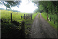 Farm track at Cothelstone