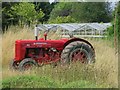 Tractor at Roger Platts Nursery