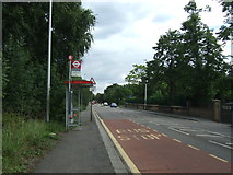 TQ3991 : Bus stop and shelter on Woodford New Road (A104) by JThomas