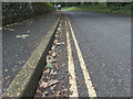 Along Cemetery Lane