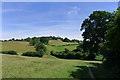 The Cotswold Way climbing towards Westrip