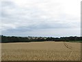 NZ2091 : Arable field north of Cockle Park by Graham Robson