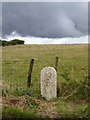 Primitive milestone on Racecourse Downs