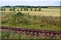 The railway north out of Aberdeen near Kintore