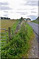 Roadside dyke near Swells