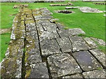 NY9170 : Courtyard of Headquarters Building, Chesters Roman Fort by Andrew Curtis