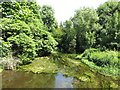 The River Colne upstream of Long Bridge