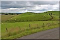 Grazing land at Avonside